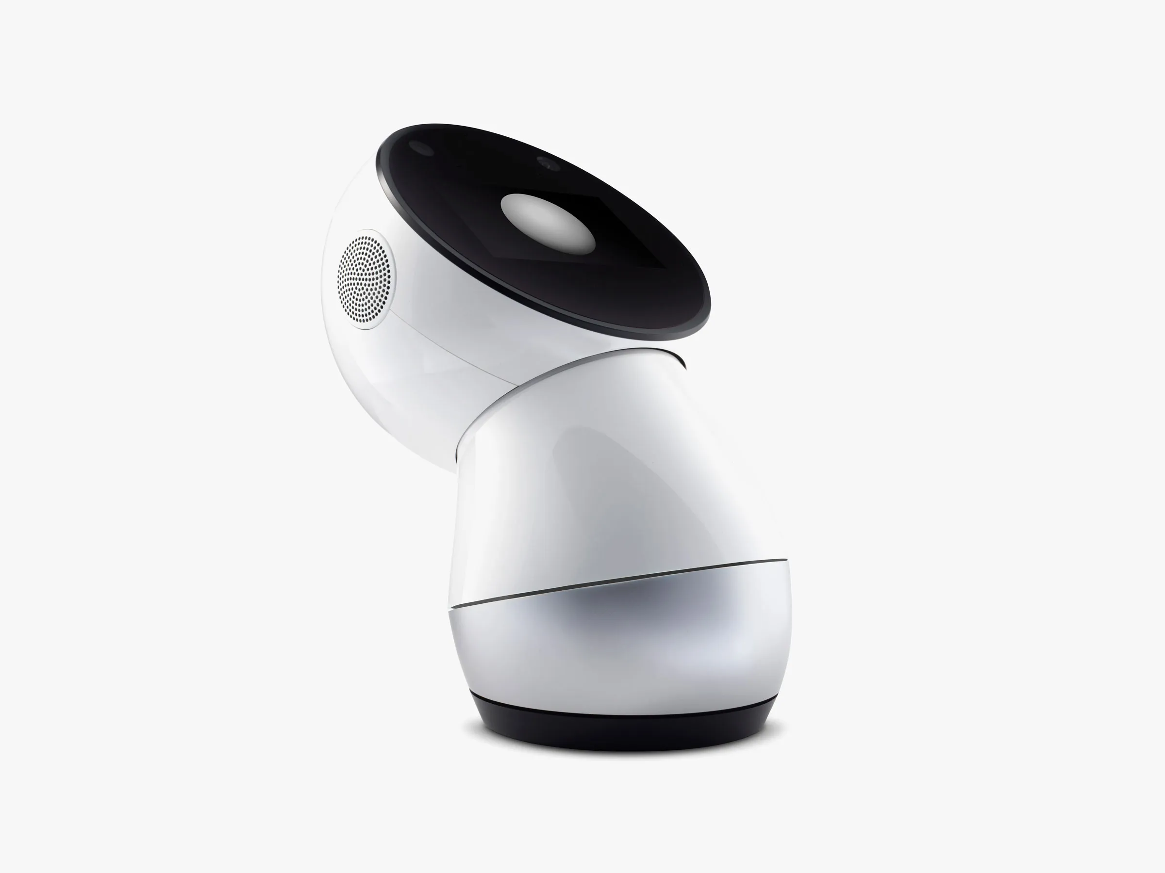 Jibo looking up
